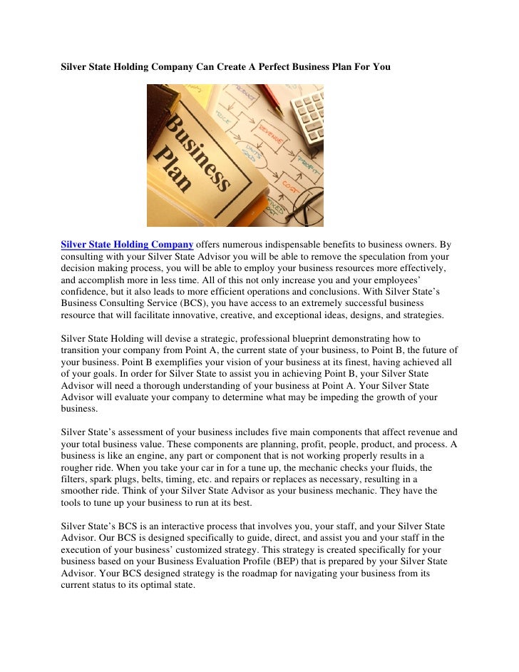 investment holding company business model business plan sample pdf
